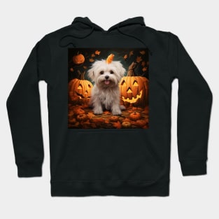 Maltese Halloween Hoodie